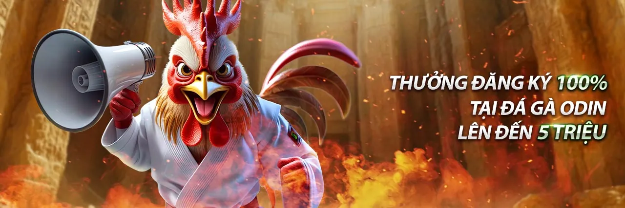 Sân đá gà trực tuyến 08win 2026 với trận đấu sôi động và người chơi đặt cược